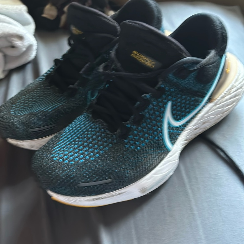 Nike invincible run 2
